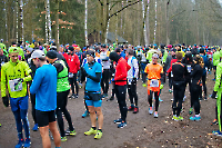 Eindrücke vom 50-km-Ultramarathon Rodgau_1